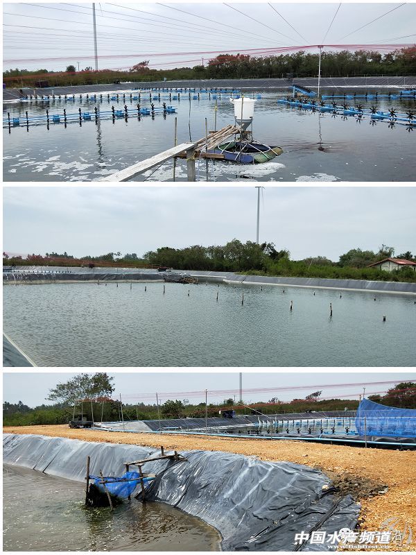 ���ܶȾ��B�ɹ����ձ�8-9�ɣ�Ҏ���_15�^/��@Щ�B�rģʽ��ֵ�ÿ���