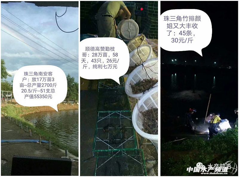 ���ܶȾ��B�ɹ����ձ�8-9�ɣ�Ҏ���_15�^/��@Щ�B�rģʽ��ֵ�ÿ���