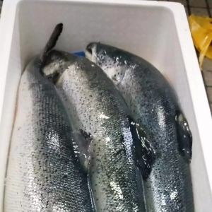 ���ȱ��r�����~���鹝��ƽ�����䣬����ʳ�ߡ����࣬�Ј�ϴ�����@��