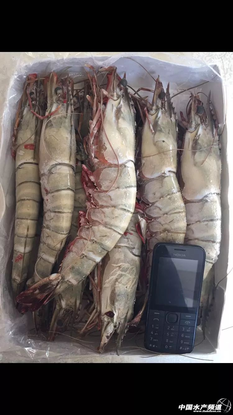 ����Ʒ���У�����ˮ�h(yu��n)���M(j��n)܊�̳������Ј����a(ch��n)Ʒ��챾���Ͼ���