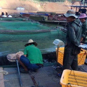 �Ĵ��Ї��ٟo�W���B�~�������治��Σ�� 