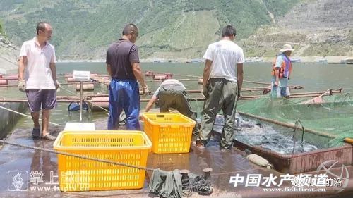 �Ĵ��Ї��ٟo�W���B�~�������������ϡ��F�ݡ��Ĵ����V��...ȫ��������࣬����ҵĆ᣿