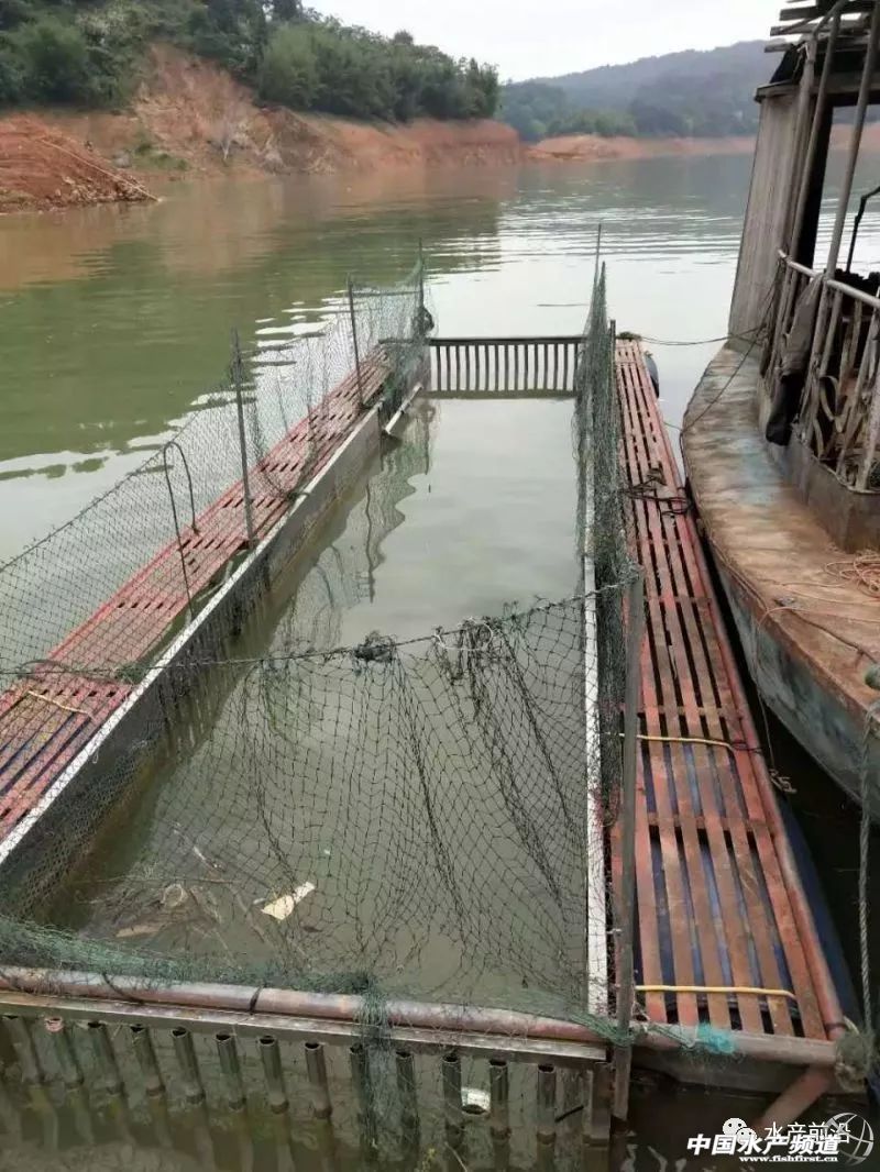 �Ĵ��Ї��ٟo�W���B�~�������������ϡ��F�ݡ��Ĵ����V��...ȫ��������࣬����ҵĆ᣿