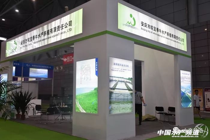 ��(d��ng)ǰ���Ј��m���B(y��ng)ֳʲôˮ�a(ch��n)Ʒ����ô�B(y��ng)���r(ji��)����Σ�ˮ�a(ch��n)�B(y��ng)ֳ�I(y��)�Ĵ�(sh��)��(j��)�r(sh��)��