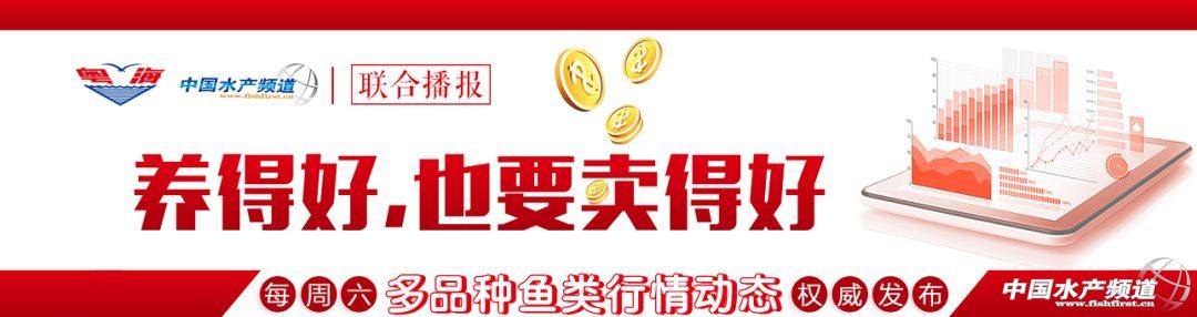 �_�r����12Ԫ�����|�����~�����S�~���S����_���~�r�S�������K�����~�����ߵ�