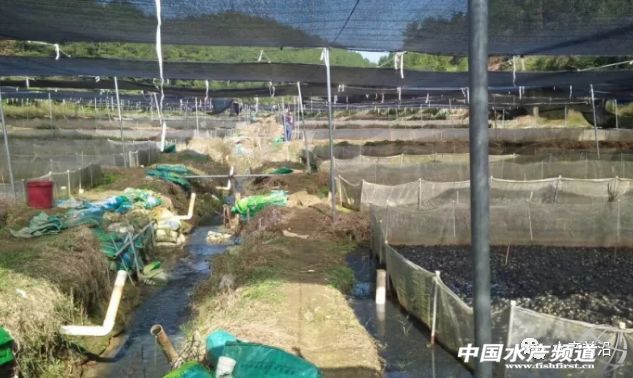 �o�����@�����TƷ�NͻȻ�������ˣ����ֵ؅^��ȫ��⚢���B�����л򱩝q���@һٍ�XƷ�N�����Ҫ����