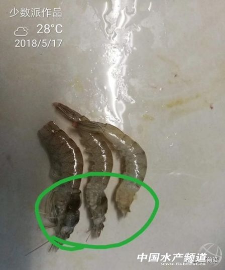 �������v�Č��r���ݲ����ЈD��������