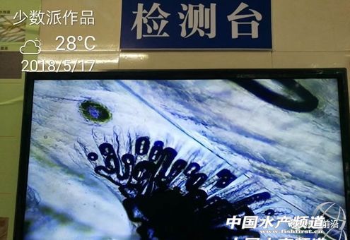 �������v�Č��r���ݲ����ЈD�����࣡