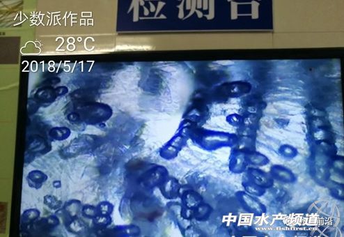 �������v�Č��r���ݲ����ЈD�����࣡