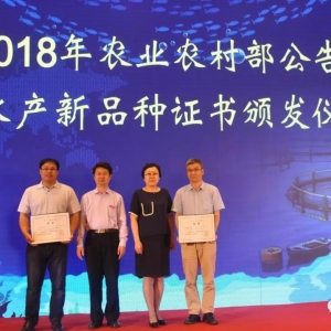 ��β���r�����K�t1̖����Ʒ�N���У��غ��؅^�����Bֳ���ۃr����� һ��