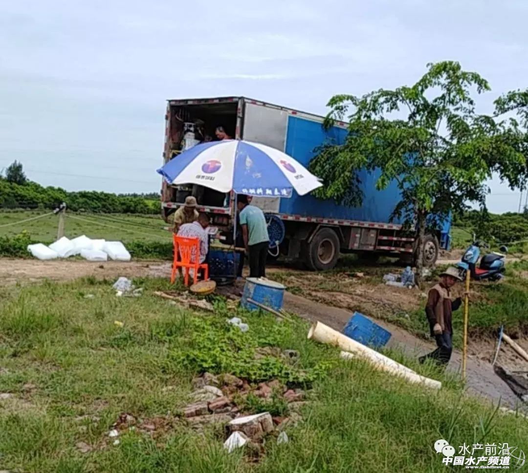 �ϰ����Bֳ���ό����ڄ�������Ŕ�