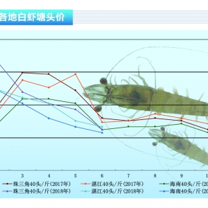 ��(du��)�r�����r�_���r�r(ji��)����������ˮ�a(ch��n)ǰ�ء�2018��7�¿��Ј�(ch��ng)څ��(sh��)