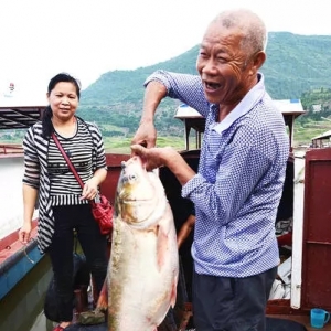 7��1�����҇���Ҫ��ˮˮ���L�����S�ӡ��齭���ݝO�ڽY����