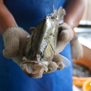 ֹ���������V�|�Z�~�q0.5Ԫ/������q3Ԫ/����п��q������2018��7��5���Z�~���^�r ...