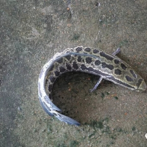 2018��7��9�����~���^�r��