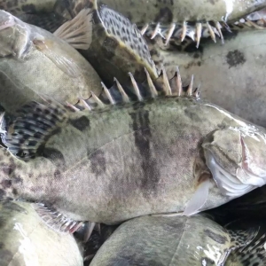 ��(w��n)���������V�|�Z�~�q1Ԫ/������q2Ԫ/�����2018��7��12���Z�~���^�r