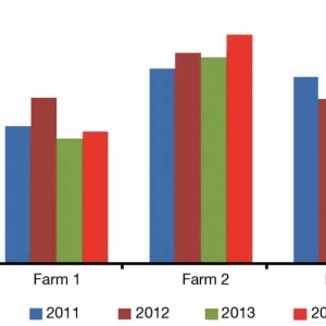 ԩ���B�rʧ���͹��������r��ܿ��ܾʹ�����ĳ�����