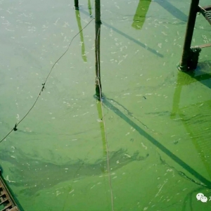 ������һ���ļ��ͱ��l���{����ô�k���@���з��ؼ��˽�һ��