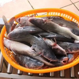 2018��7��16�ս��F���^�r