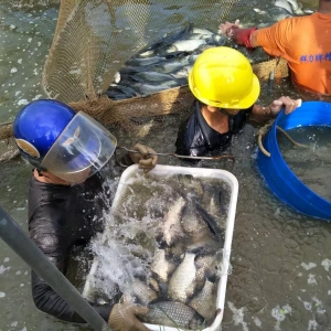 �a�~�r���܈��Ј����Fȱ؛���r����^�m�߸ߣ�