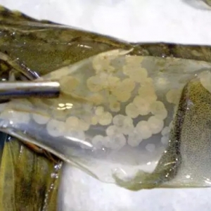 �����ˣ���������ϙM�ճ��������Ͽڷ��Ϳ����A(y��)�����N�����Լ��������ڴ��᣿