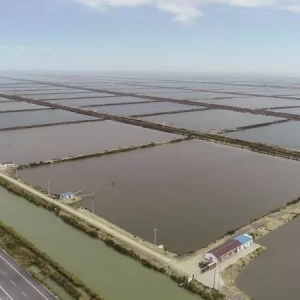 ˮ�a(ch��n)�ИI(y��)�ġ����ϡ�����Ȧ����30�f(w��n)���~��