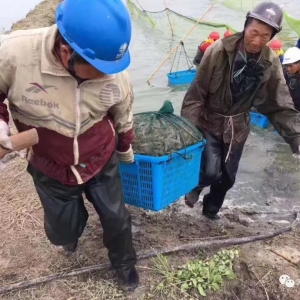 �����ǲ������r���µͣ����F�r���M�У�����ˮ�r֮�������׽��v��ʲô��