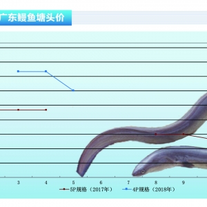 ���~���_���؅^���n���Ј��^�m�µ����ձ��Ј����ַ���������ˮ�aǰ�ء�2018��8�¿��Ј� ...