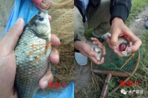 �@�N�����x�[����Σ���󣬿����a�~���l��������ȫ�����磡ԓ��ô�k��