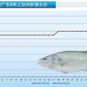 2018��8��5�ռ����|���^�r