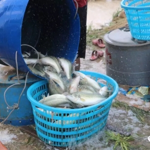 ������Խ��Խ���������|�r������������8��6�ռ����|���^�r