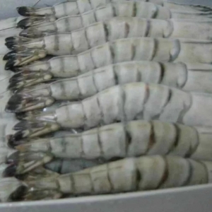 �����r�r�ġ�����������P���ˆ᣿δ�أ���ߚ����ԵĴ���������@���