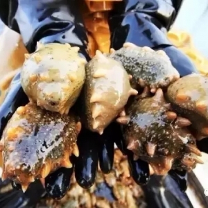 ȫ�����q����ߝq500Ԫ/�������f����������������������؛��