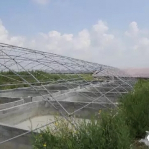 ����ˮ�a�Bֳ������������\�ӣ��r�r�ֵ��ԣ��Y������