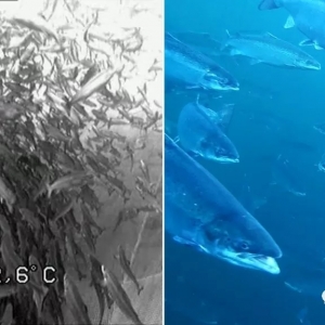 δ����ڸ��壡4Kˮ�z��C���Q���oˮ�a�Bֳ�􎧁����塢��ݵ�ιʳ�w�