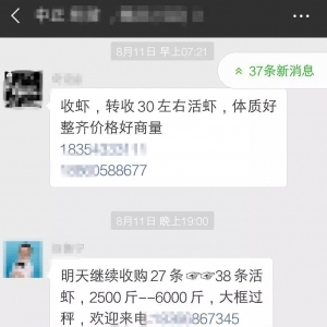 �q�����q�����_5Ԫ/�ȫ���r�r����ȫ���ϝq������8��15�������׌��r���^�r