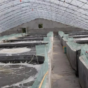 ���A���ƹ��S���B�r��ģʽ�����ИI������N���������Bֳ������I�����ɹ���100%��