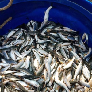 ��һ݆�^ɽ܇���V�|�����Z�~�r�񱩝q4Ԫ/�����8��17�չ��~���^�r