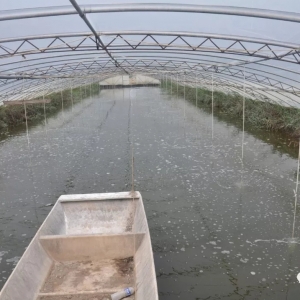 ����С���r���P�I�c��ʲô���@����V���