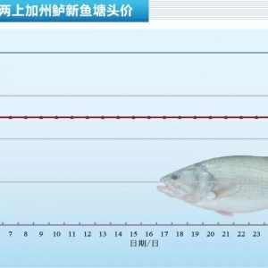 �������~�_(d��)����Ҏ(gu��)�����f�~߀���ٝq����| 8��20�ռ����|���^�r