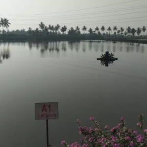 �挦���¬F������ȫ���r�r�������r�r�����m���ԣ����������������