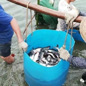 ��ɳ�~��һͰ�����ˣ�2018�������ǵ�һ�������ɳ�~�B�����У�