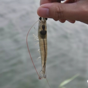 ����ͣ�����a�ڵ��������M���H�r��������̩ꖵ�ȡ���ᡱ֮��