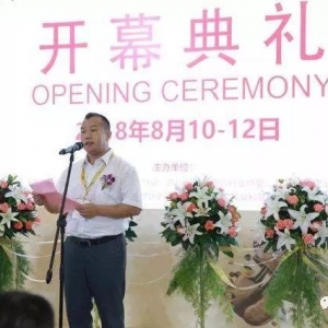 ��֮¡2018���ϰ������494�f��ͬ�����L150%