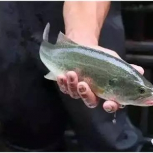 �@�~(y��)�ڱ���Ҫ������(r��n)���14Ԫ/�������(r��n)�^(gu��)�f(w��n)