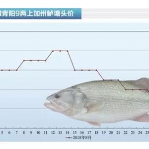 �ֵ�5ë����ꖼ����|���ܱ���2.5Ԫ/�