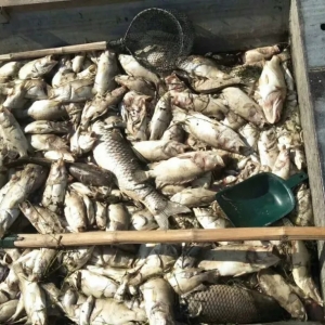 �Kʧ1�|��Ԫ�󣬺�ɺ���ˮ���m(x��)��ӿ��Ű������4�f(w��n)����2�|��Ԫ���~(y��)з���R���֮��(z��i)���{