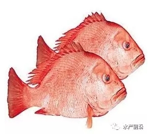 ��һ���ޞĿ��u���|Ԫ�t�~���ڷ�����