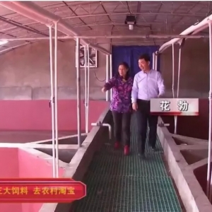 300Ԫ/��@�����������l���ġ�ɳĮ���r����ô�B��