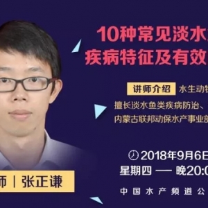 10�N��Ҋ��ˮ�~�����Լ�����������Ч���η���